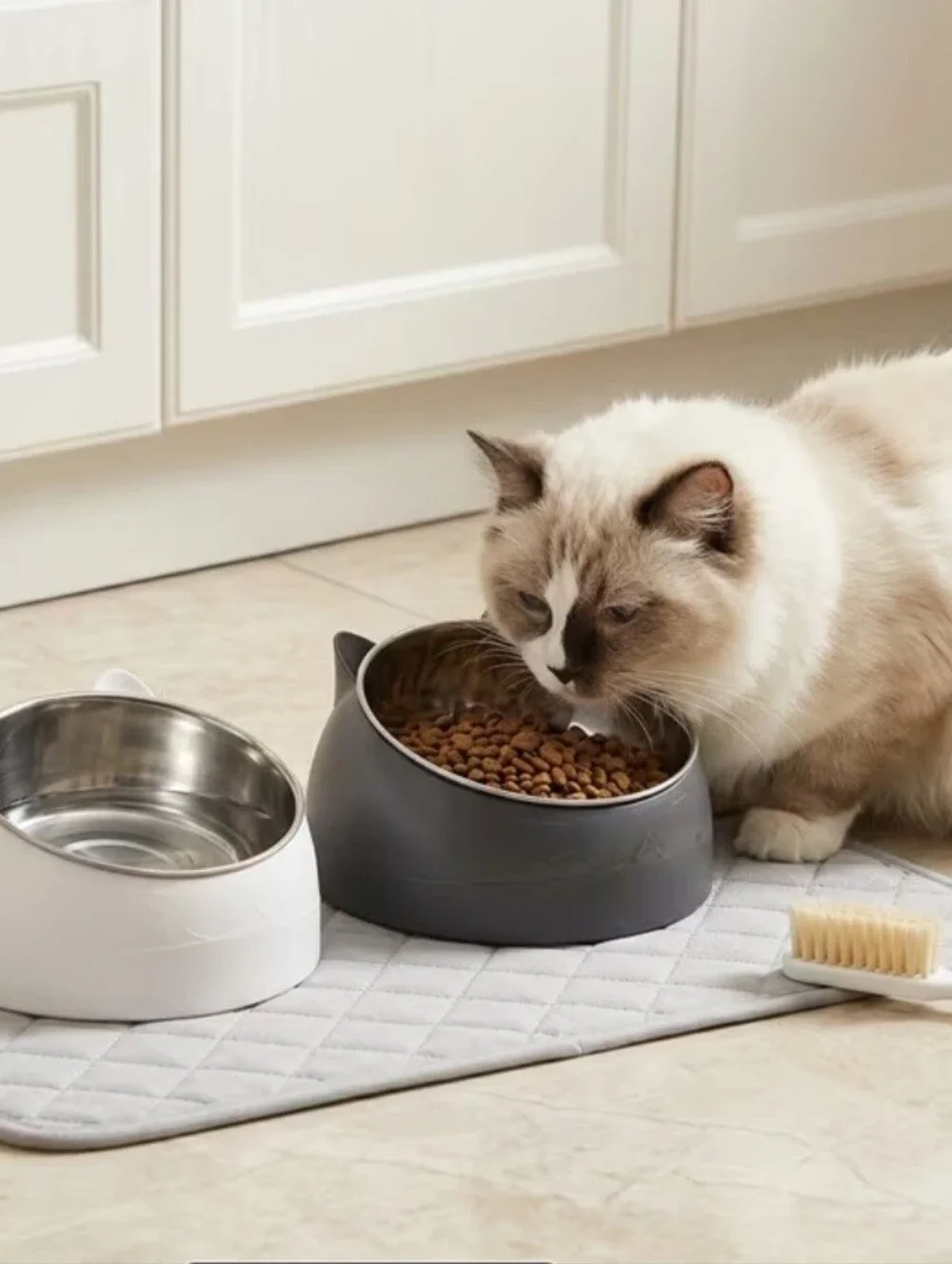 Cat Bowl-Stainless Steel with Non-Slip Navy Blue Stand